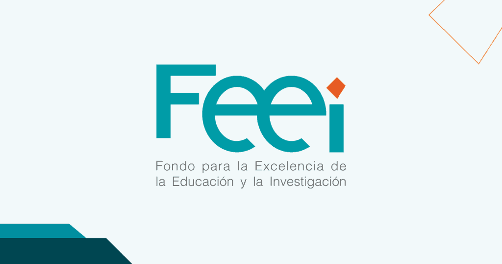 Detalles de programas públicos están disponibles en la web del FEEI